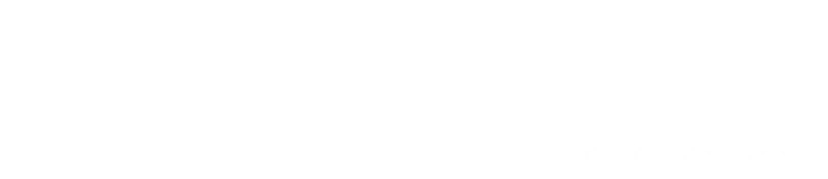 shsglobal logo